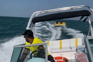 Dubai: Sightseeing auf der Donut-Fahrt