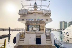 Dubai: Dubai Marina: Nähtävyyksien kiertoajelu yksityisellä huviveneellä Dubain venesataman ohi