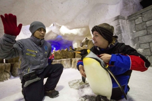 Dubai: Ski Dubai Penguin Encounter Tickets