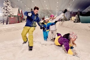 Dubaï : Ski Dubai Snow Park Classic Pass