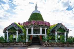 Dubai: Skip-The-Line Ticket to Dubai Miracle Garden