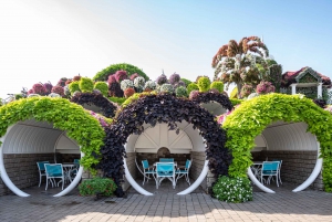 Dubai: Skip-The-Line Ticket to Dubai Miracle Garden