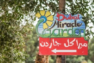 Dubaj: Bilet bez kolejki do Dubai Miracle Garden