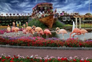 Dubai: voorrangsticket voor Dubai Miracle Garden