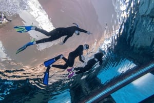 Dubai: Bucea con tubo en la piscina más profunda del mundo