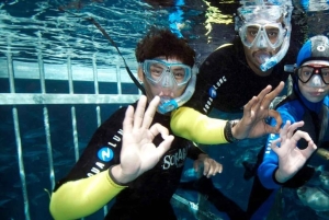 Dubai: fai snorkeling in gabbia all'acquario
