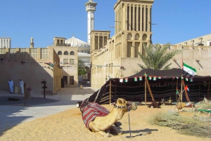 Dubai: Tour della città con scalo con orari flessibili