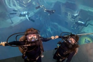 ドバイ：ディープダイブでのサンケン・シティ・ウォーク（資格は不要です）