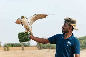 Dubai: Volo in mongolfiera all'alba con giro in cammello e colazione