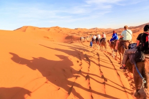 Dubai: Sunrise Camel Trek with Breakfast