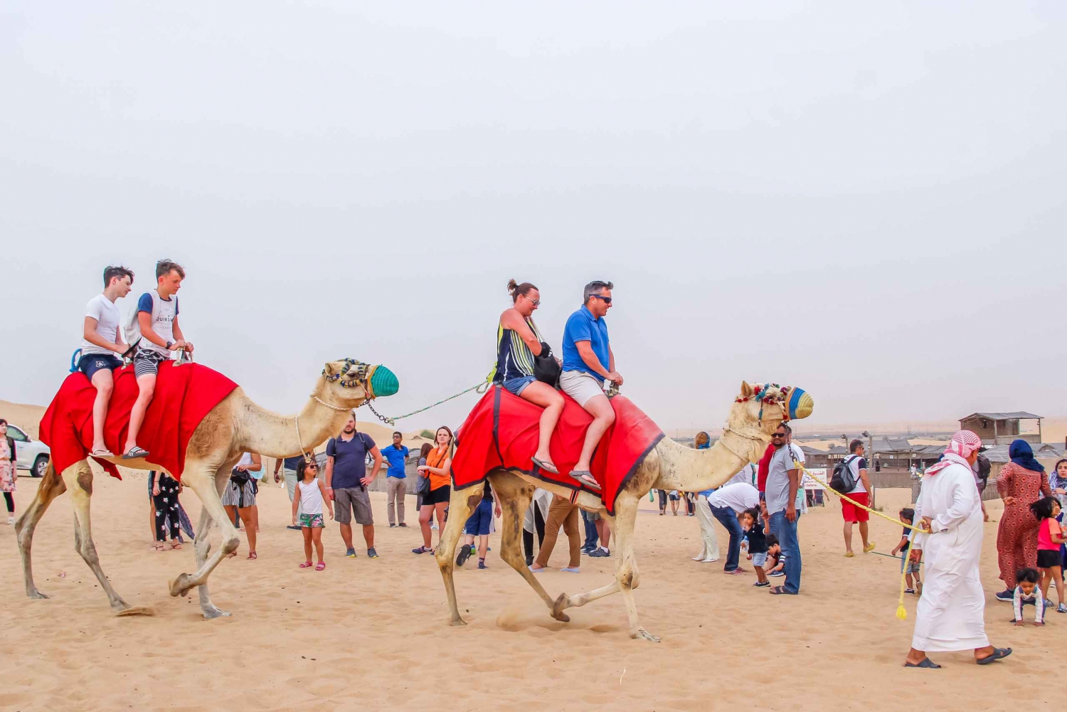 Dubai: kamelentrek in de woestijn bij zonsopgang met ontbijt