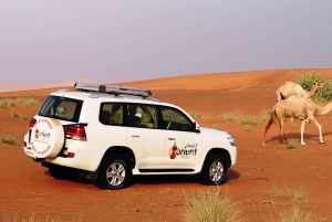 Dubai Sonnenaufgang Wüste Kameltrek mit Frühstück