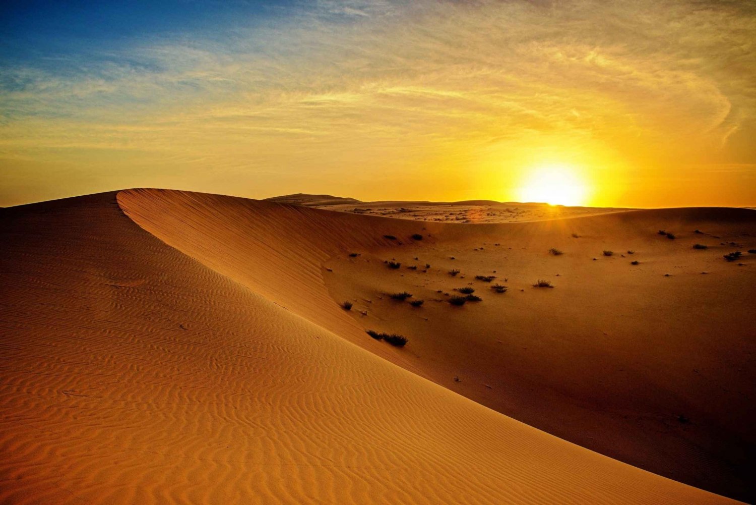 Dubai: Zonsopgang woestijn jeepsafari met wilde dieren