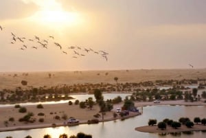 Dubai: Sunrise Hot Air Balloon Tour with E-Certificate