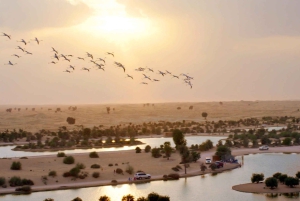 Dubai: Sunrise Hot Air Balloon with E-Certificate & Transfer