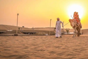 Dubai: Sunset Camel Safari, Stargazing, BBQ at Al Khayma