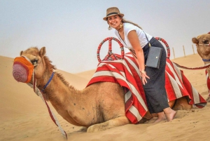 Dubai: Sunset Camel Safari, Stargazing, BBQ at Al Khayma