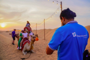 Dubai: Kamelsafari ved solnedgang, stjernekiggeri, BBQ på Al Khayma