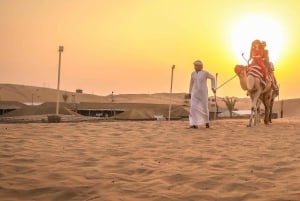 Dubai: Kamelsafari ved solnedgang, stjernekiggeri, BBQ på Al Khayma