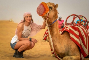 Dubai: Kamelsafari i solnedgången, stjärnskådning och grillfest på Al Khayma