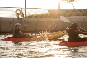 Dubai: Sunset/Night Dubai Creek Kayak Tour