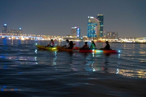 Дубай: тур на байдарках по Дубайскому заливу на закате/ночи