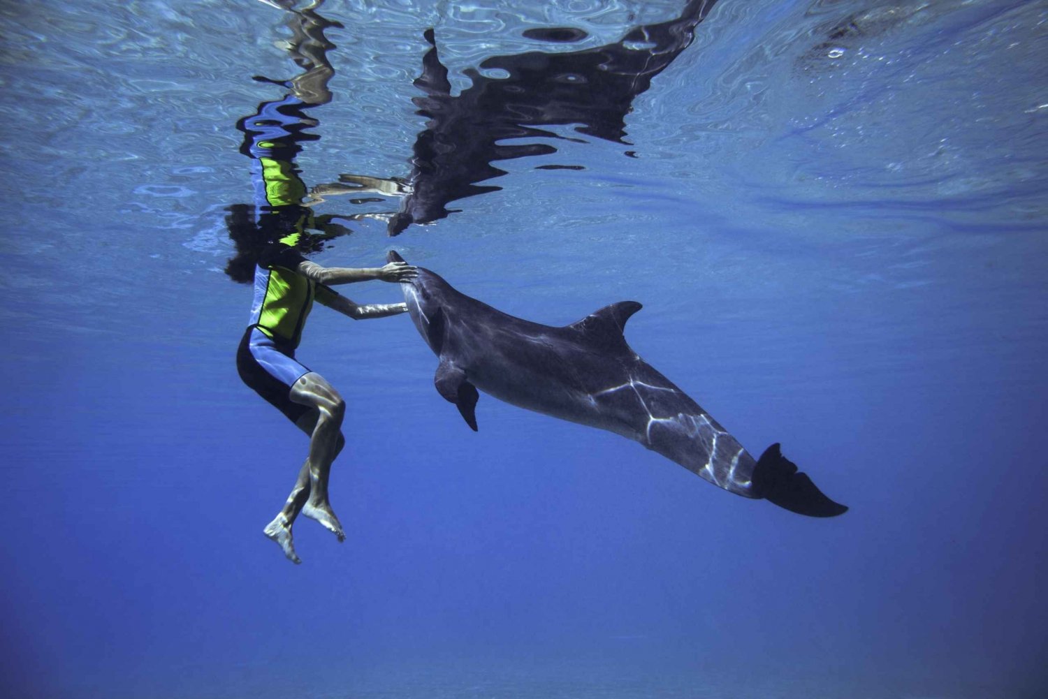 Dubai: Atlantis Waterparkissa: Ui delfiinien kanssa Atlantis Waterparkissa