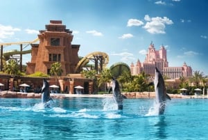 Дубай: поплавайте с дельфинами в аквапарке «Атлантис»