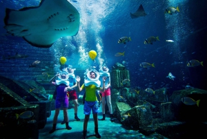 Dubai: The Lost Chambers Aquarium Atlantis Aqua Trek