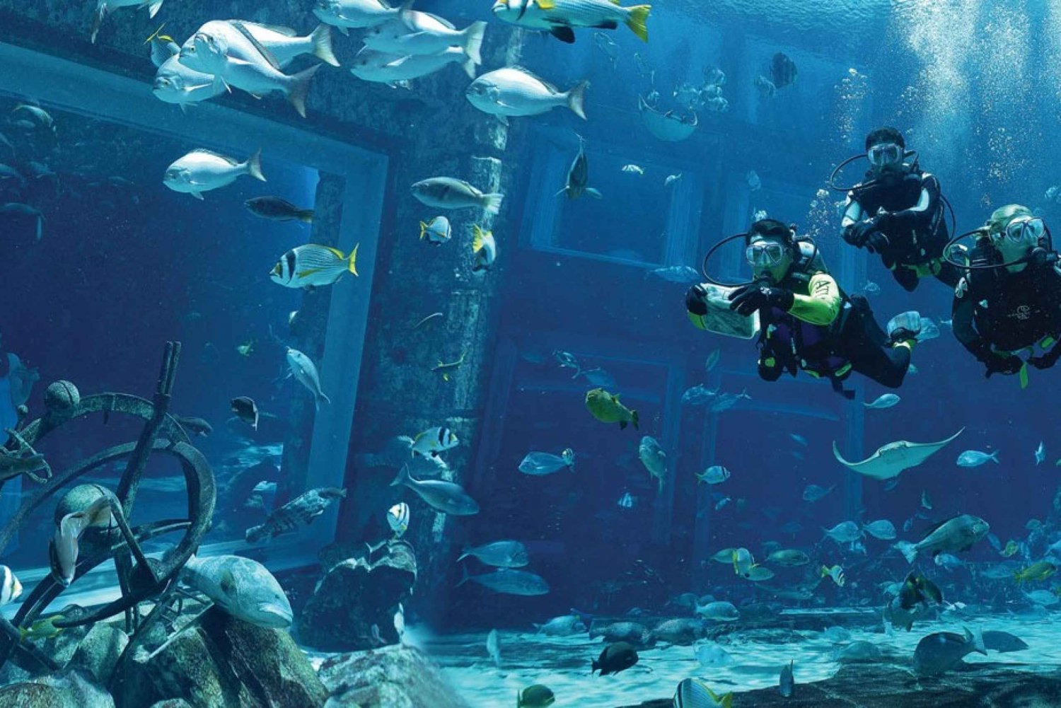 Dubai: Dykkeropplevelse i akvariet The Lost Chambers Aquarium Atlantis