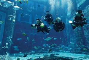 Dubai: The Lost Chambers Aquarium Atlantis Diving Experience