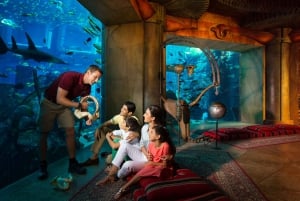 Dubaj: Nurkowanie w akwarium Atlantis w Zaginionych Komnatach
