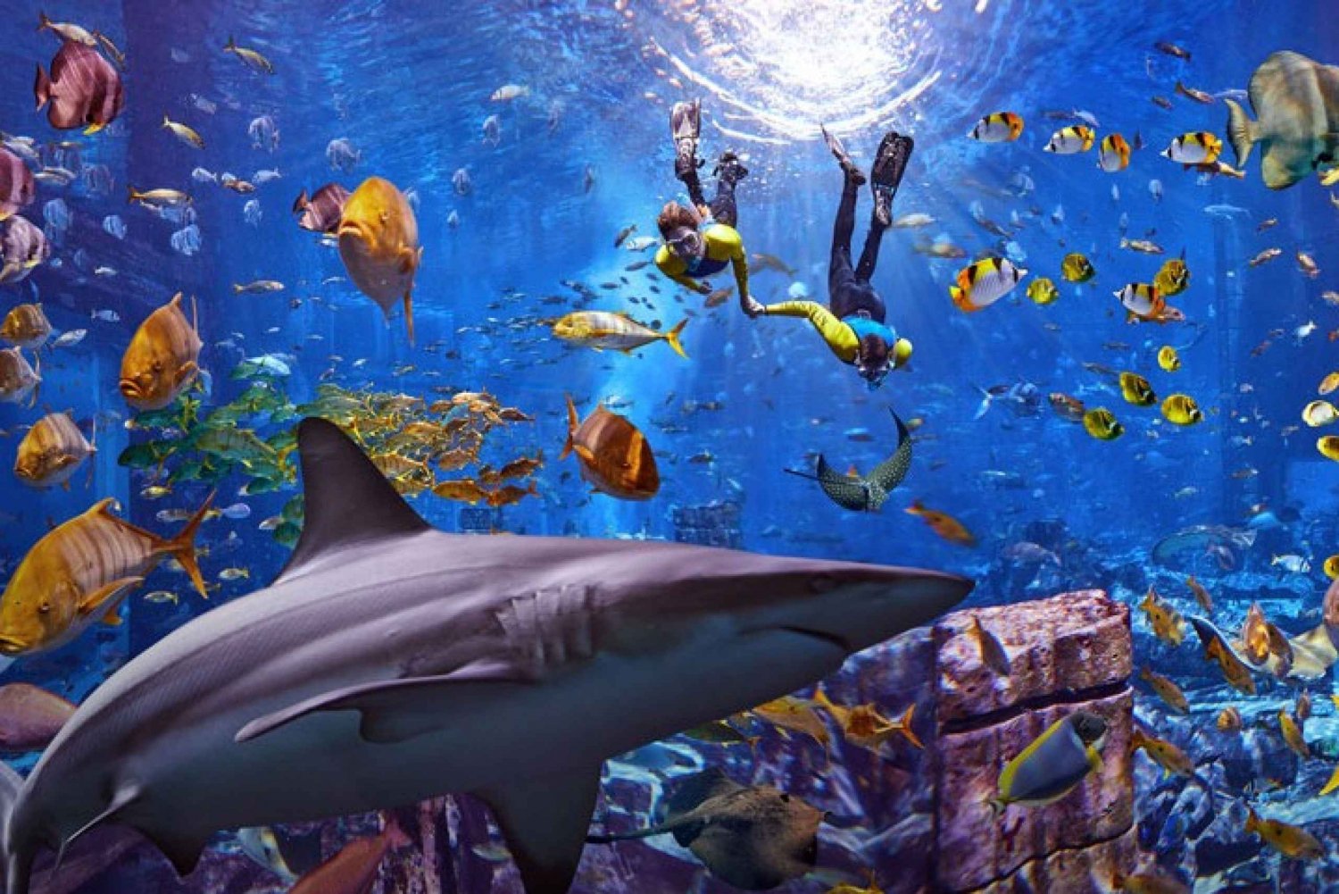 Dubai: Experiência de mergulho com snorkel no aquário The Lost Chambers