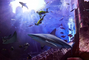 Dubai: The Lost Chambers Aquarium Snorkeling Experience