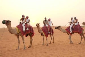 Dubai: Tour con cena barbecue, giro in cammello e spettacolo tradizionale