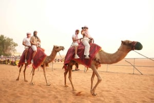 Dubai: Tour con cena barbecue, giro in cammello e spettacolo tradizionale