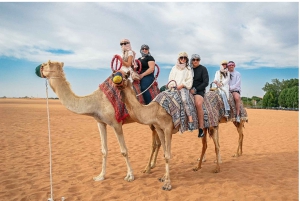 Dubai: Tour con cena barbecue, giro in cammello e spettacolo tradizionale