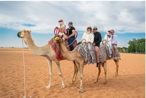 Dubai: Excursão com jantar de churrasco, passeio de camelo e espetáculo tradicional