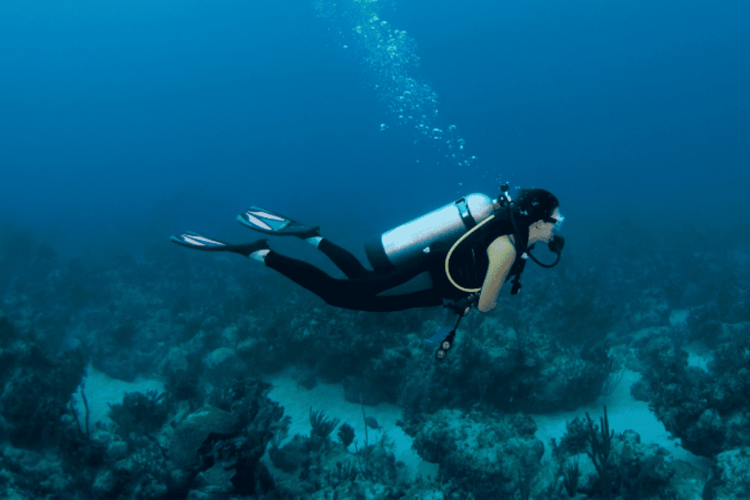 Dubai: Prueba la experiencia del submarinismo con traslado al hotel