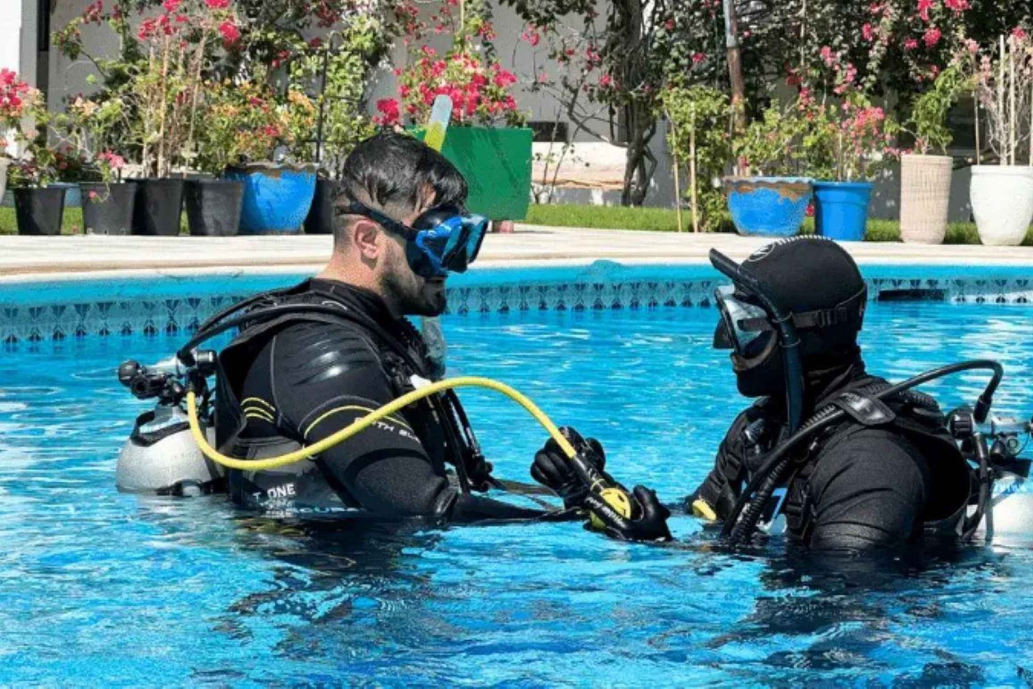 Dubai: Prueba la experiencia del submarinismo con traslado al hotel