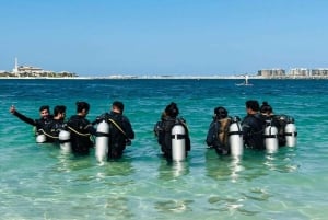 Dubai: Try Scuba Diving Experience with Hotel Transfer