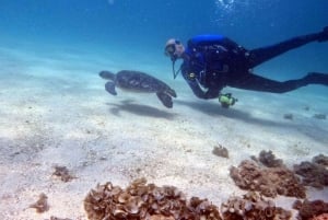 Dubai: Try Scuba Diving Experience with Hotel Transfer