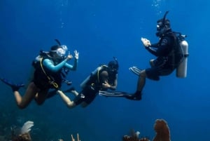 Dubai: Try Scuba Diving Experience with Hotel Transfer