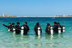 Dubai: Prueba la experiencia del submarinismo con traslado al hotel