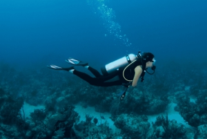 Dubai: Prueba la experiencia del submarinismo con traslado al hotel