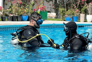 Dubai: Prueba la experiencia del submarinismo con traslado al hotel
