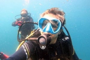 Дубай: попробуйте подводное плавание с аквалангом