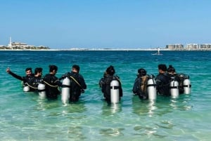 Dubai: Prova på dykning