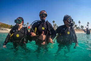 Dubai: Prova på dykning