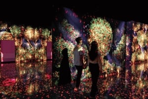 Dubai: Obegränsat pass till attraktioner